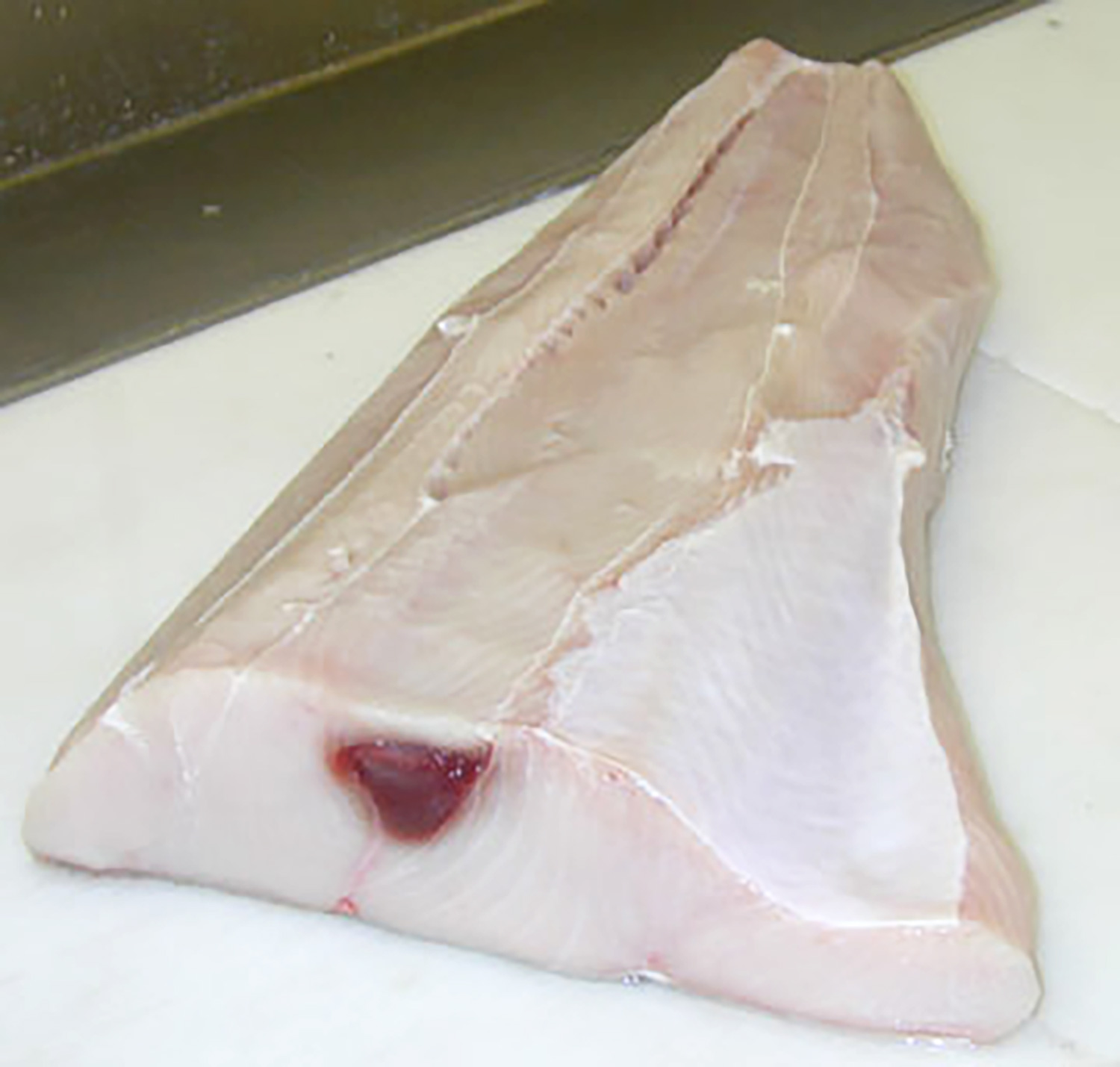 Mako Shark Loins Stavis Seafoods