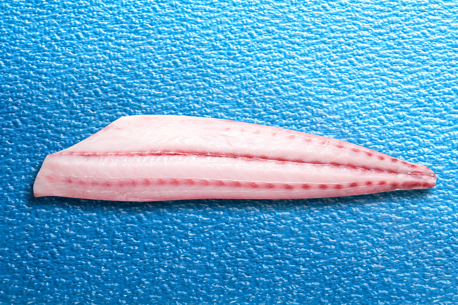 hamachi pricing
